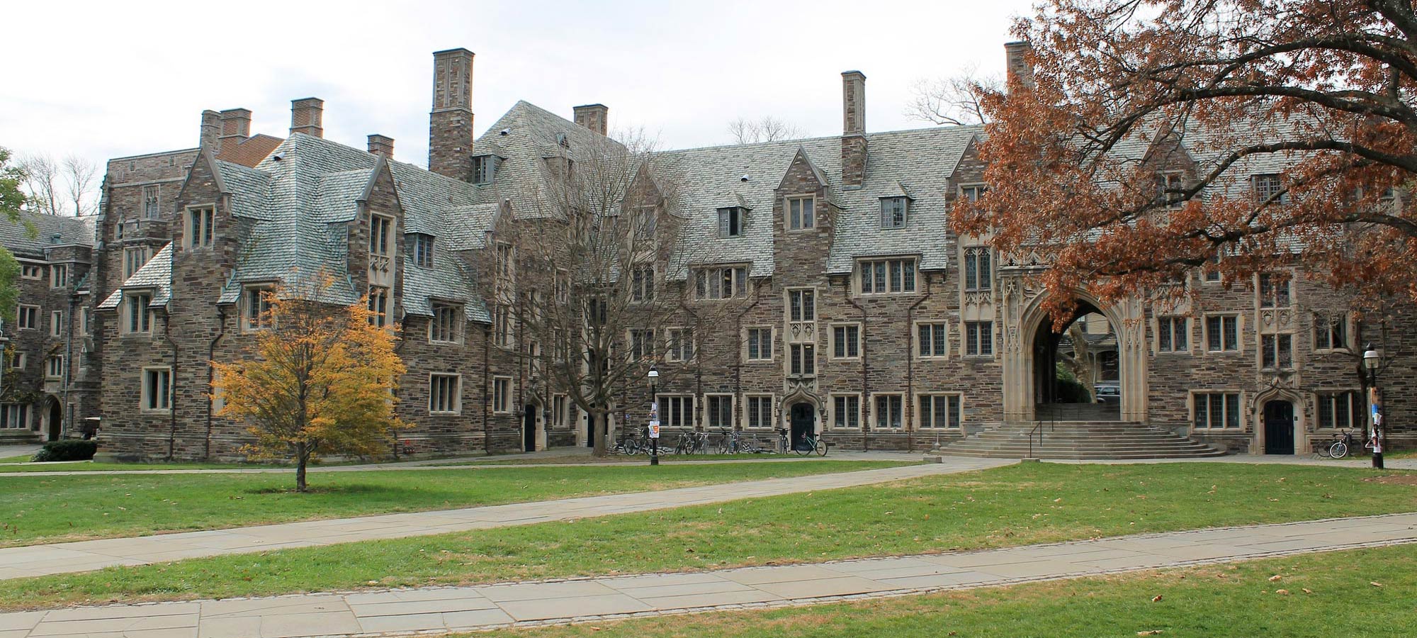 princeton university admissions essay